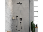 Homzora Raindance Select S EcoSmart 120 3-jet shower head, brushed chrome black; Homzora Designflex 160 cm shower hose, brushed chrome black