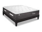 Homzora BEDDING - Homzora 140x200 cm Pack - Pocket Spring Mattress, Wooden Slatted Base, Bed Bug Protector
